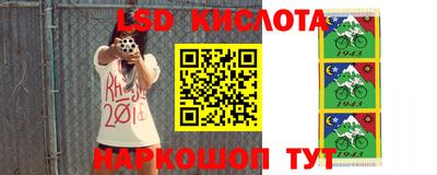 гашик Будённовск