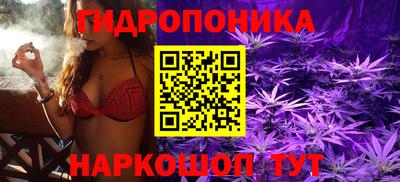 прущие грибы Бузулук