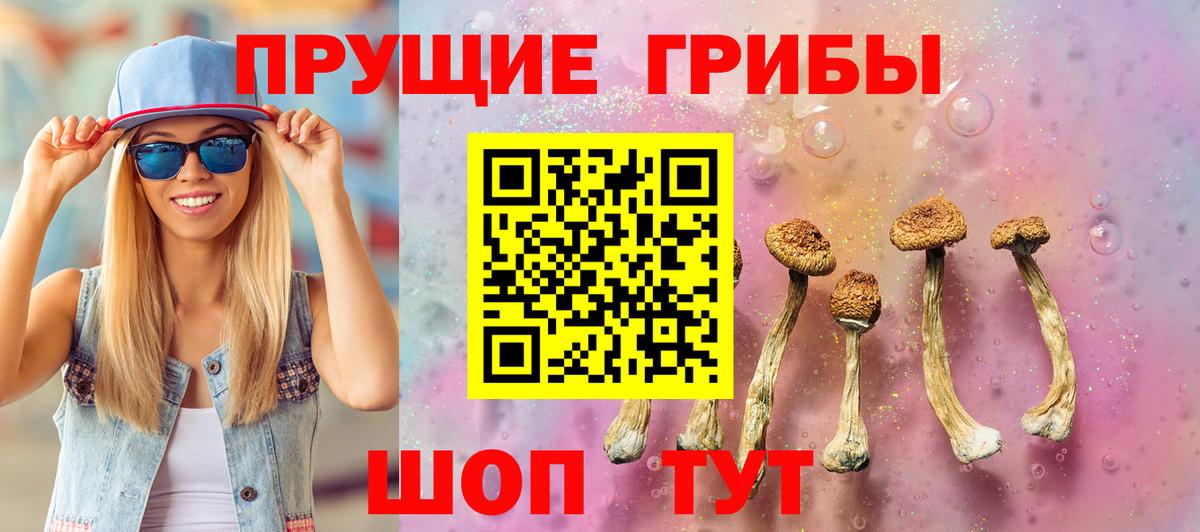 Галлюциногенные грибы Psilocybine cubensis Липецк